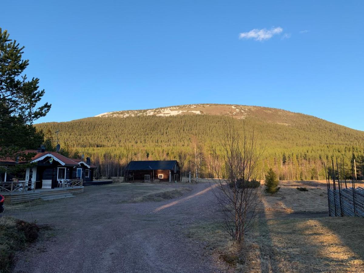 Nymon Mountain Lodge Стьотен Екстер'єр фото