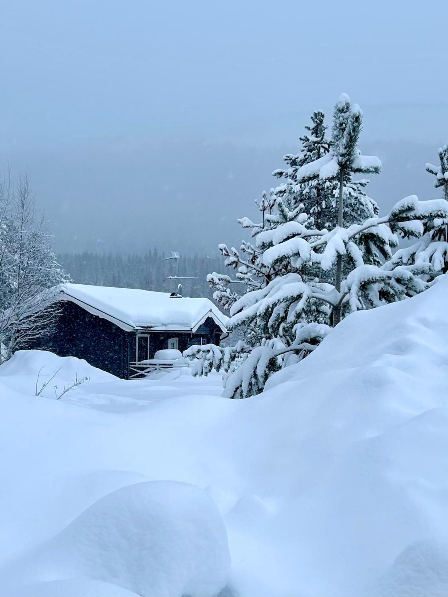 Nymon Mountain Lodge Стьотен Екстер'єр фото